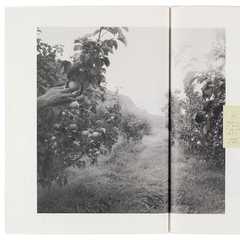 Clipping clippings/♡.jpg