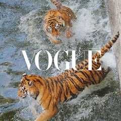 Clipping clippings/pinterest @jesstran11.jpg