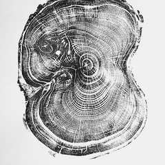 Clipping clippings/Best Indoor Garden Ideas for 2020 - Modern.jpg