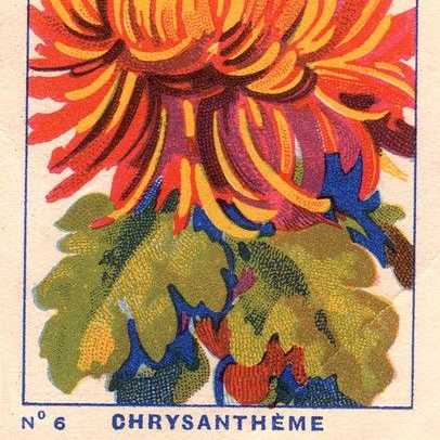 Milliat fleurs004
